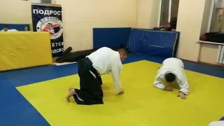 Aikido vs Wrestling