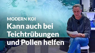 Wenn sich Kalziumcarbonat erst nach Tagen auflöst | Modern Koi Blog #6614