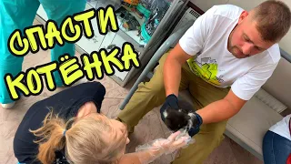 ВЛОГ ! СПАСАЕМ КОТЁНКА от смерти ! Синди КОШКА донор ! Батя Лёша