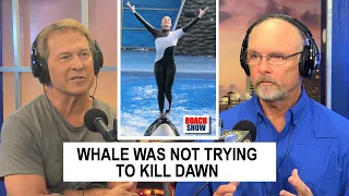Seaworld Killer Whale Not Trying To Kill Dawn Brancheau!