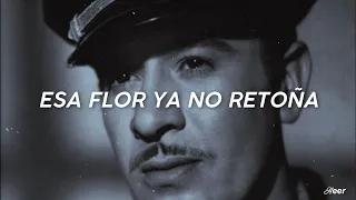 Flor Sin Retoño - Pedro Infante (Letra)