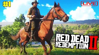 STARTING MY JOURNEY IN RDR ONLINE #1