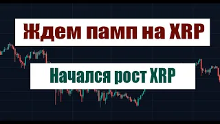 ЖДЕМ ПАМП НА XRP! НАЧАЛСЯ РОСТ XRP! АЛЬТКОИНЫ ИКСУЮТ