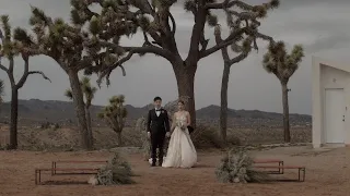 Unique + MOVING Intimate Rainy Joshua Tree Wedding Film Video