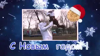 Новогодний клип Одесского зоопарка 2018