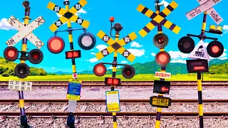 【踏切アニメ】なかなか心を開いてくれないふみきりカンカン😂😂😂Introverted Railroad Crossing!!