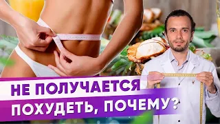 Почему не получается похудеть? Гормональные аспекты|Диетолог Андрей Никифоров12+