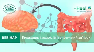 Кишківник і мозок. Епігенетичний зв'язок