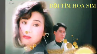 ĐỒI TÍM HOA SIM - SỸ BEN ft TÀI LINH