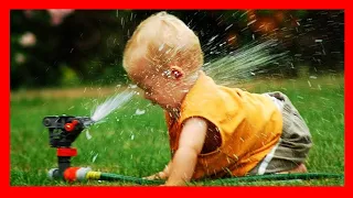 Funny Babies Playing With Water | Dogs And Babies Are Best Friends  Dogs Babysitting Babies