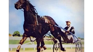 Harness Racing,Addington-1963 New Zealand Cup (Cardigan Bay-P.T.Wolfenden)