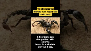 "The Ultimate Scorpion Showcase: 5 Jaw-Dropping Facts in Quick Shorts!|Facts Lane