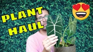 Plant Haul for May 2020 - More Houseplants YAY!!