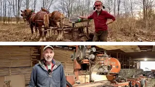 My Sawing History & a quick Sawmill Lesson! // Land Clearing with Draft Horses #605