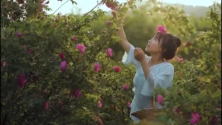 Colorful flowers food, excavating different ways of eating roses.Liziqi channel