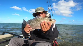 (4K) Florida Keys Windy Day Mixed Bag Fishing