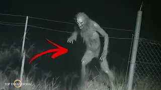 5 Real TERROR Videos to NOT Sleep / REAL TERROR / Part 10 / Ghosts and Creatures 2024