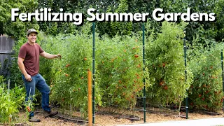 Fertilizing Summer Vegetable Gardens Organically