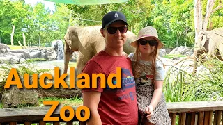 Auckland Zoo New Orangutan Enclosure 2021.......New Zealand