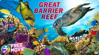 GREAT BARRIER REEF | Explore the beauty and diversity of the world's largest coral reef!