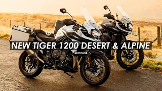 Triumph Announce New 2020 Tiger 1200 Desert & Alpine Special Editions