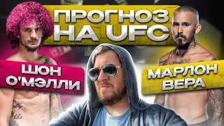 ПРОГНОЗЫ и АНАЛИТИКА НА ВЕСЬ КАРД UFC 299 ШОН О'МЭЛЛИ vs МАРЛОН ВЕРА / ПОРЬЕ vs БЕНУА СЭН-ДЕНИ