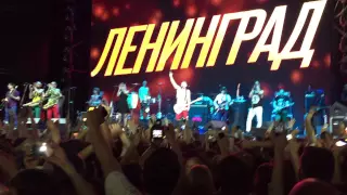 Группировка Ленинград в Воронеже. 13.05.2015.