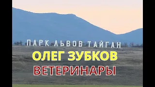 Парк львов Тайган: Олег Зубков и ветеринары