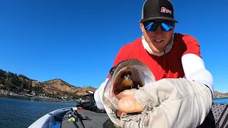 Secret Megabass Dark Sleeper Tips