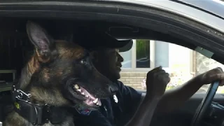 Boone, NC Police Department Lip Sync