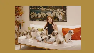 Spend Time With Me And My Dogs! | Ysabel Ortega