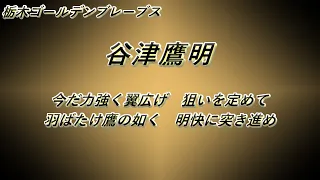 【MIDI】好きな独立リーグの応援歌を思うがままに詰め込んでみた【作業用BGM】