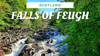 Falls of Feugh, Banchory Scotland | Salmon Fish Leaping Waterfalls Aberdeenshire, Scotland