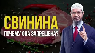 Свинина почему она запрещена?Др.Закир Найк #kuran#zakirnaik#misharirashid