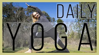 45 mins Daily Hatha Yoga Routine 12 Poses You Should Do Daily | Yoga with Melissa 479