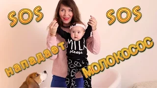 Босс-Молокосос - Milk Pleasе Molokosos The Boss Baby