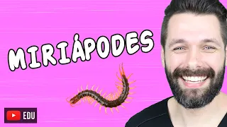 MIRIÁPODES - QUILÓPODES E DIPLÓPODES | Biologia com Samuel Cunha