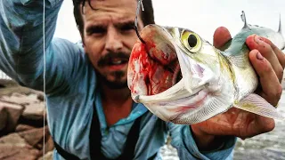 Catching BIG Fish Off Jetty Rocks!