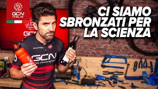 Quanto influisce l’alcol sulle prestazioni? | Scienza in bici