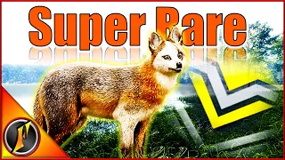 A Piebald Diamond Gray Fox?!? | Incredible Hunt on Mississippi Acres!