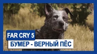 FAR CRY 5 БУМЕР – ВЕРНЫЙ ПЕС