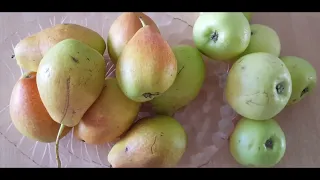 повидло грушево-яблочное без сахара// jam , apples, pear