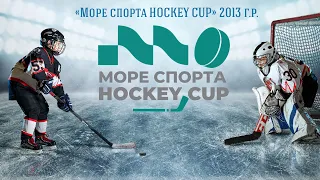 2013 г.р. | Торпедо 2014 - Мотор | 14 марта 2022 г. 13:00 |