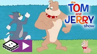 The Tom & Jerry Show | Tom Trains Spike's Son | Boomerang UK 🇬🇧