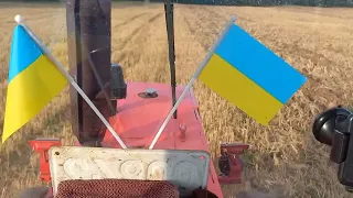 Посів ріпаку на седерат.