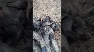 азербайджанская армия azeri soldiers горят под ногами Армян Թշնամու լեշերը Հայոց հողում