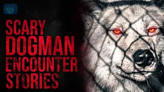 SCARY DOGMAN ENCOUNTERS | SCARY STORIES OF DOGMAN SIGHTINGS 2020