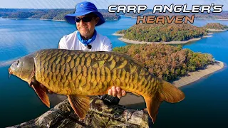 Gábor Döme – Carp Anglers’ Heaven