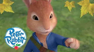 @OfficialPeterRabbit - The Beginning of Autumn | Series 1 | Compilation | Octonauts & Friends