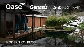 Modern Koi Blog #5817 - Ralfs Teich nach dem Umbau und das wenig zufrieden stellende Ergebnis
